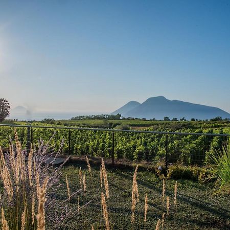 Tenuta Di Castellaro Winery & Resort ليباري المظهر الخارجي الصورة