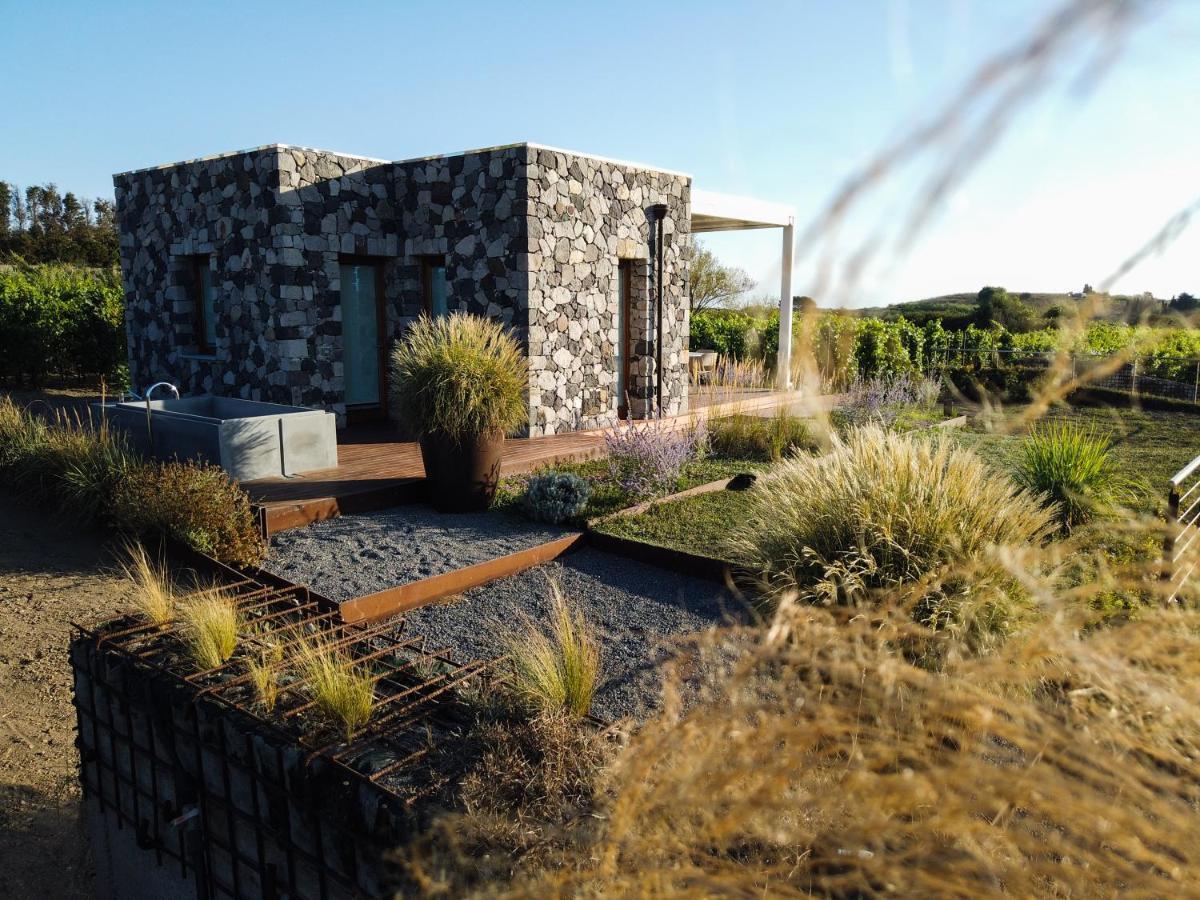Tenuta Di Castellaro Winery & Resort ليباري المظهر الخارجي الصورة