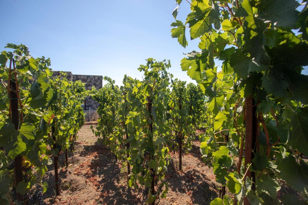 Tenuta Di Castellaro Winery & Resort ليباري المظهر الخارجي الصورة