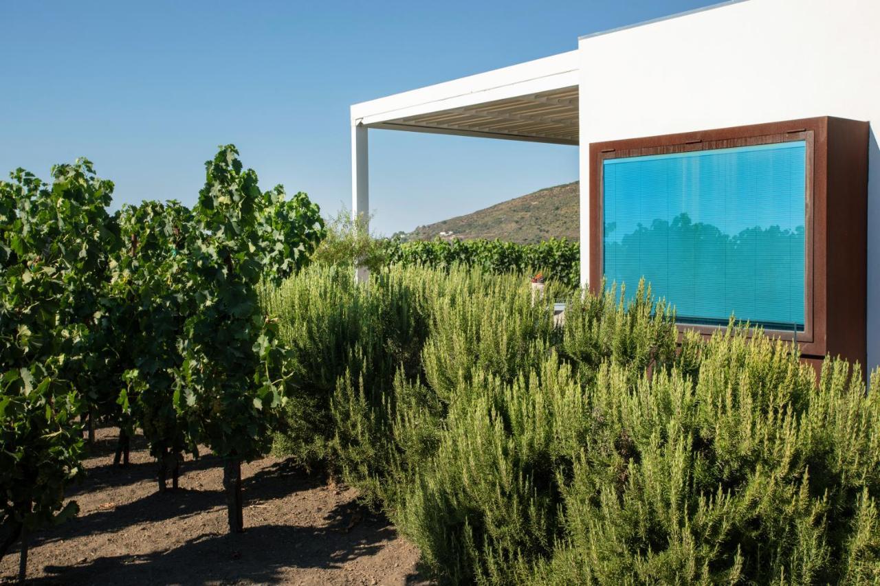 Tenuta Di Castellaro Winery & Resort ليباري المظهر الخارجي الصورة