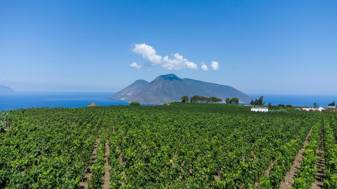 Tenuta Di Castellaro Winery & Resort ليباري المظهر الخارجي الصورة