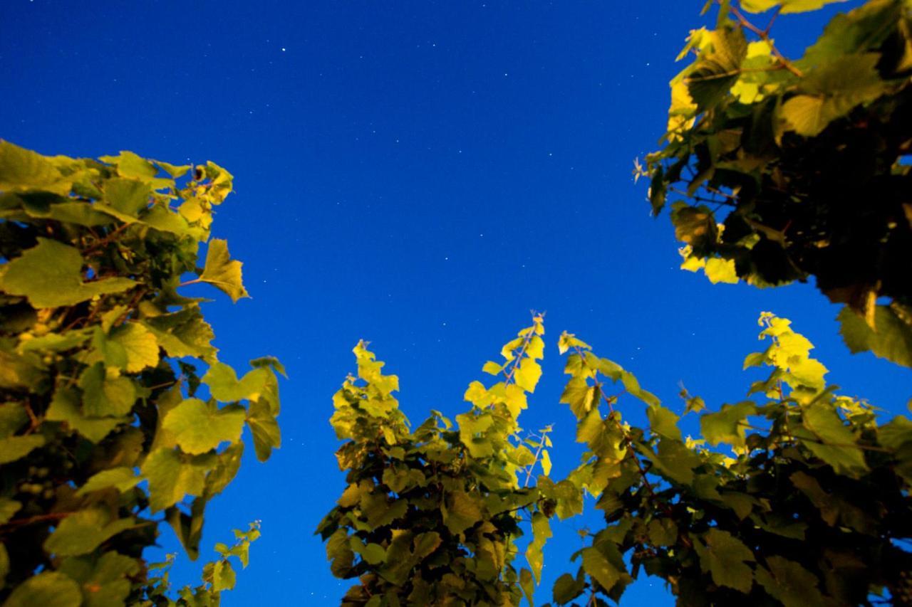 Tenuta Di Castellaro Winery & Resort ليباري المظهر الخارجي الصورة